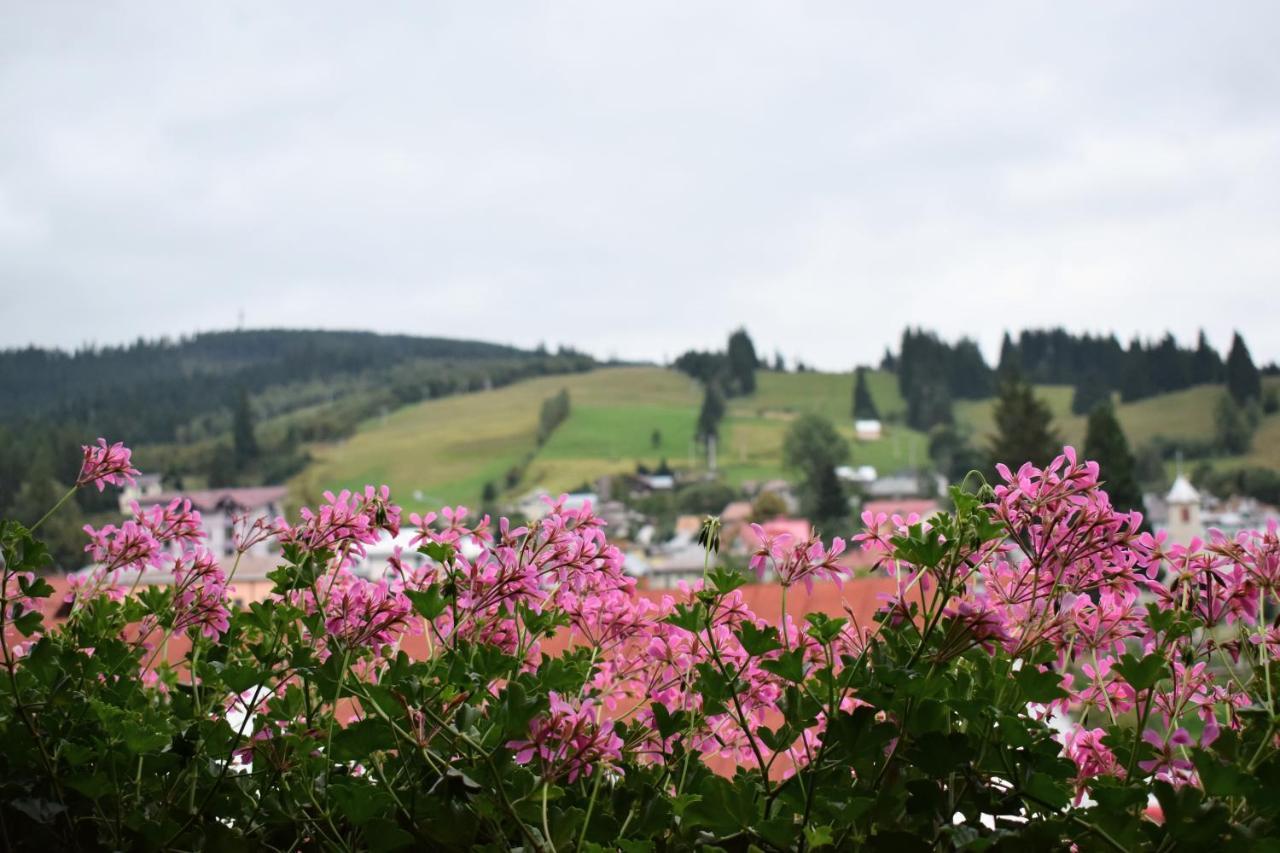 Vila Seva Hotell Vatra Dornei Exteriör bild